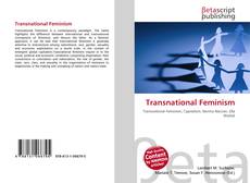 Copertina di Transnational Feminism