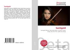 Copertina di Santigold