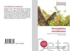 Copertina di Acrocephalus arundinaceus