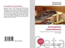 Couverture de Acrocephalus schoenobaenus