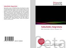 Copertina di Sabulodes Aegrotata