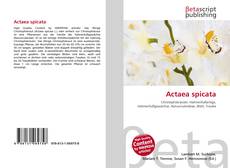 Buchcover von Actaea spicata