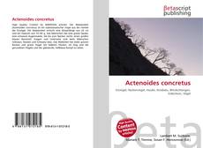 Couverture de Actenoides concretus