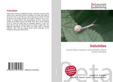 Buchcover von Volutidae