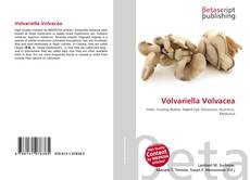 Copertina di Volvariella Volvacea