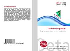 Copertina di Saccharomycetes