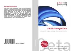 Copertina di Saccharomycotina
