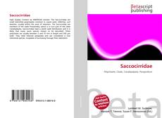Copertina di Saccocirridae