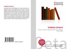 Capa do livro de Valdete Antoni 