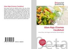 Capa do livro de Ulam Raja (Cosmos Caudatus) 