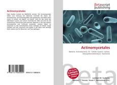 Buchcover von Actinomycetales