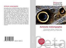 Buchcover von Actinote melampeplos