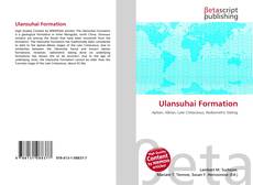 Copertina di Ulansuhai Formation