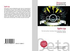 Copertina di Split Lip