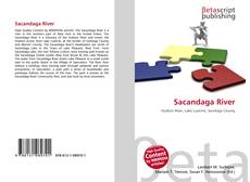 Couverture de Sacandaga River