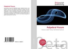 Couverture de Palpebral Fissure