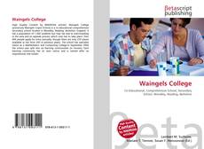 Buchcover von Waingels College