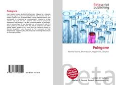 Buchcover von Pulegone