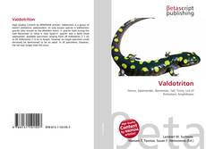 Обложка Valdotriton