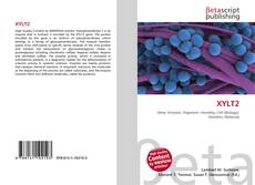 Buchcover von XYLT2