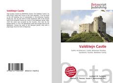 Buchcover von Valdštejn Castle