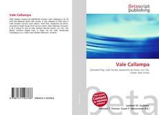 Copertina di Vale Callampa