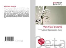 Copertina di Vale Class Gunship