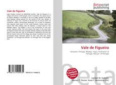 Buchcover von Vale de Figueira