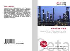Copertina di Vale Gas Field