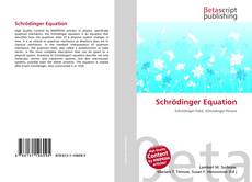 Buchcover von Schrödinger Equation