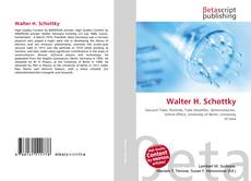 Couverture de Walter H. Schottky
