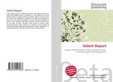 Buchcover von Valech Report