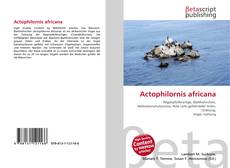 Actophilornis africana的封面