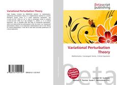 Buchcover von Variational Perturbation Theory