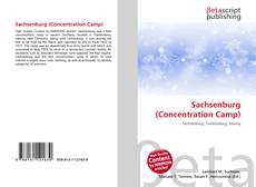 Couverture de Sachsenburg (Concentration Camp)