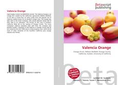 Valencia Orange kitap kapağı