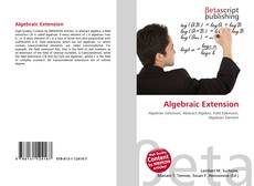 Copertina di Algebraic Extension