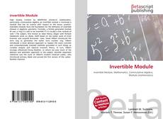 Buchcover von Invertible Module