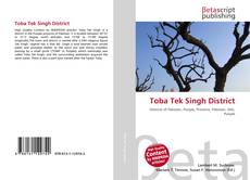Buchcover von Toba Tek Singh District