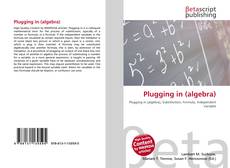 Plugging in (algebra) kitap kapağı