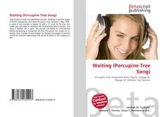 Waiting (Porcupine Tree Song) kitap kapağı