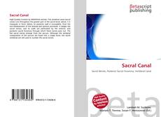 Portada del libro de Sacral Canal