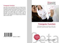 Couverture de Triangular Function