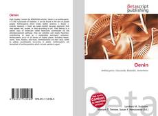Portada del libro de Oenin