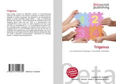 Portada del libro de Trigenus