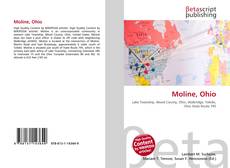 Buchcover von Moline, Ohio