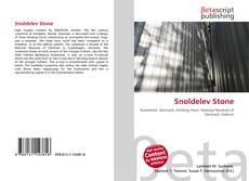 Portada del libro de Snoldelev Stone