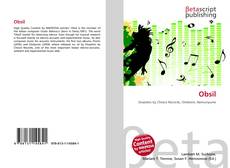 Capa do livro de Obsil 