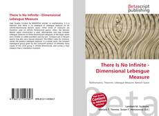 Couverture de There Is No Infinite - Dimensional Lebesgue Measure