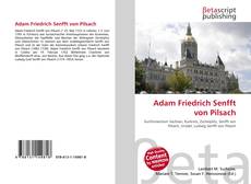 Adam Friedrich Senfft von Pilsach的封面
